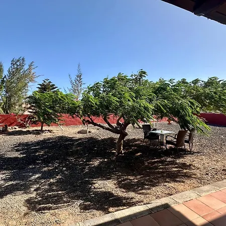 El Relincho Del Alma *