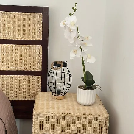 Nyaraló El Relincho Del Alma *