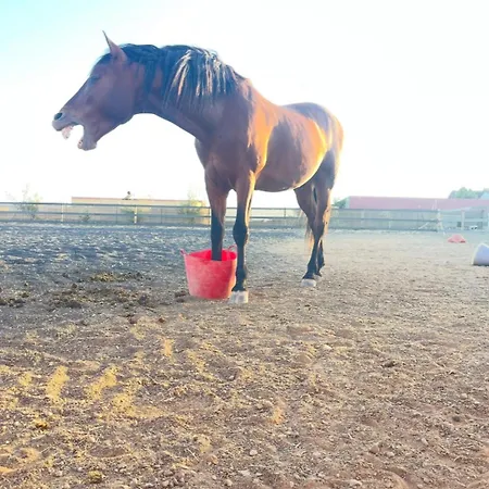 El Relincho Del Alma Nyaraló Tuineje