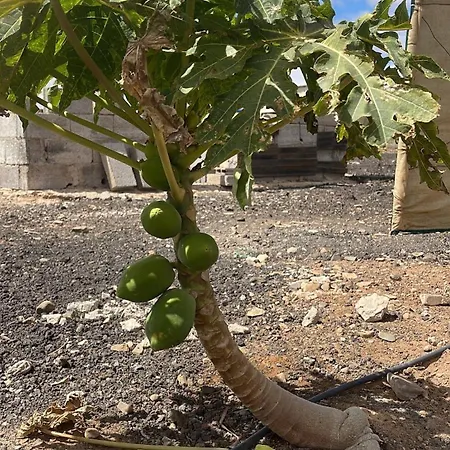 Ferienhaus El Relincho Del Alma *