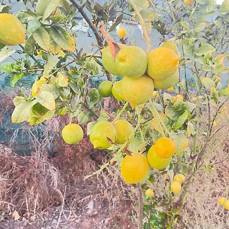 El Relincho Del Alma Ferienhaus Tuineje