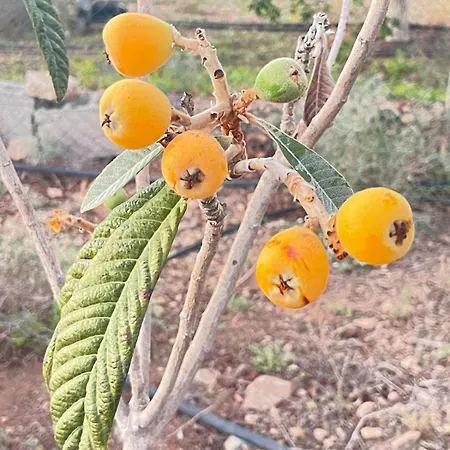 Ferienhaus El Relincho Del Alma Tuineje