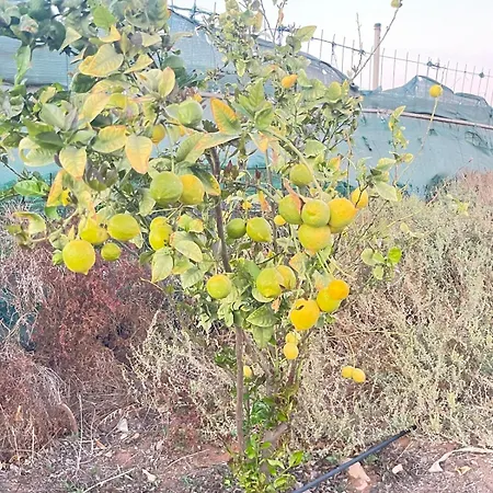 Сasa de vacaciones El Relincho Del Alma