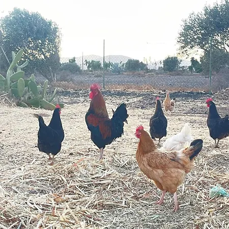 El Relincho Del Alma Σπίτι διακοπών