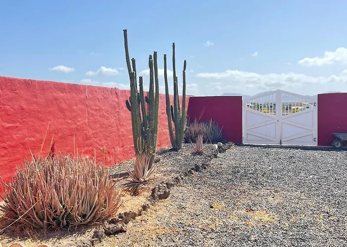 El Relincho Del Alma *