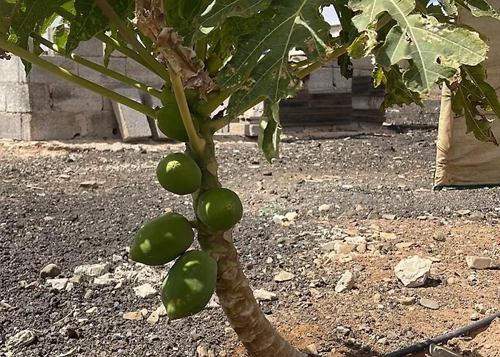 بيت للعطل El Relincho Del Alma *