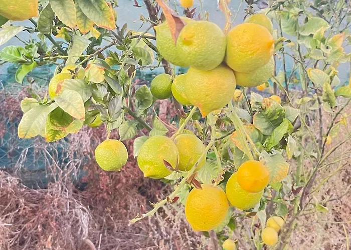 El Relincho Del Alma بيت للعطل Tuineje