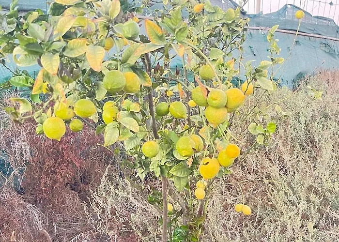 بيت للعطل El Relincho Del Alma