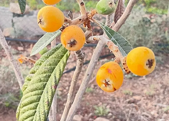 بيت للعطل El Relincho Del Alma Tuineje