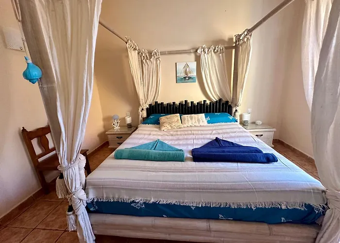 El Relincho Del Alma