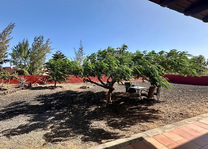 El Relincho Del Alma *