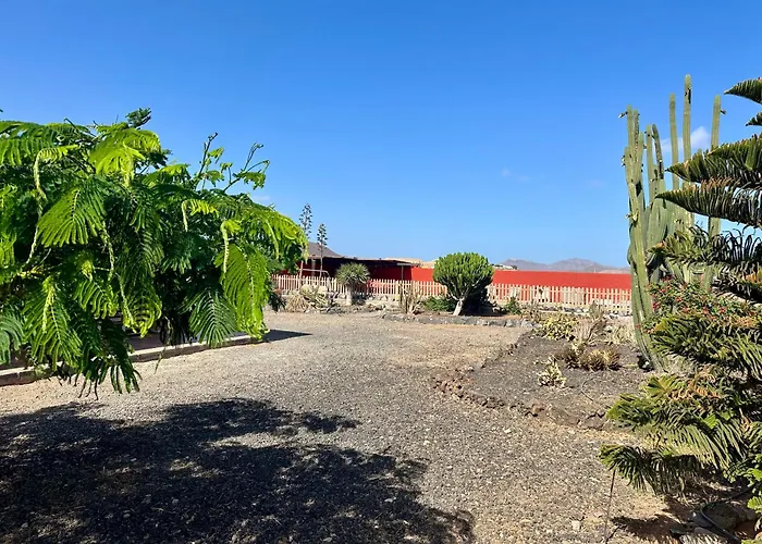 El Relincho Del Alma *