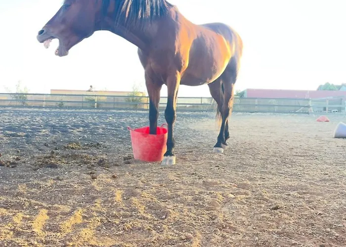 El Relincho Del Alma بيت للعطل Tuineje